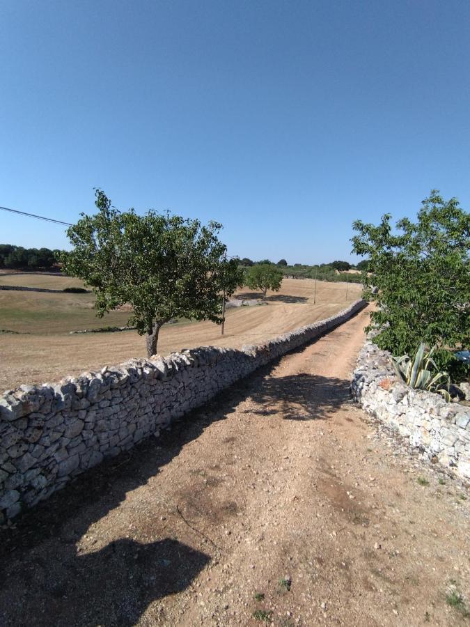 Masseria Catucci Agriturismo Alberobello Eksteriør bilde