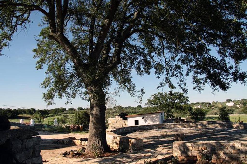 Masseria Catucci Agriturismo Alberobello Eksteriør bilde
